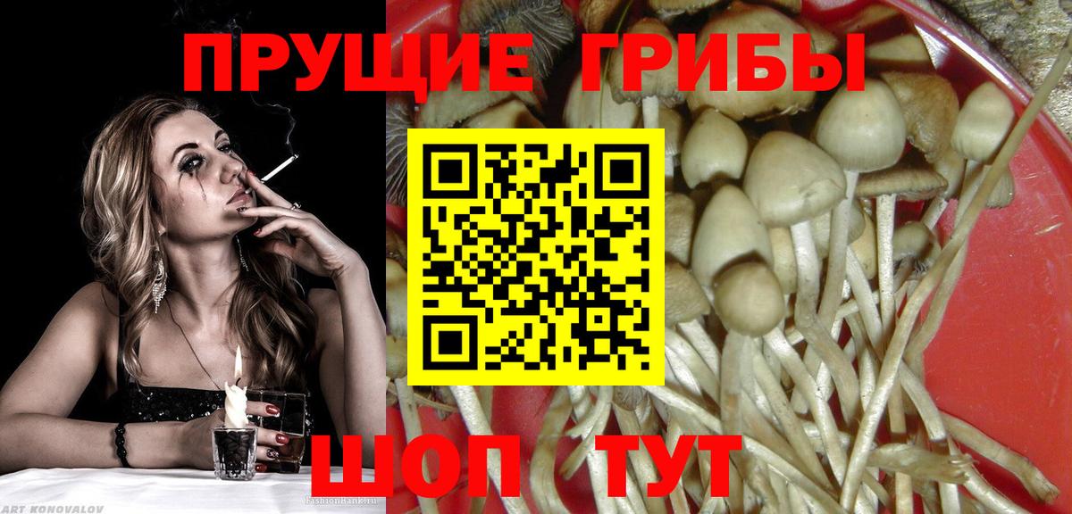 Галлюциногенные грибы ЛСД  Вход с VPN  Буйнакск 